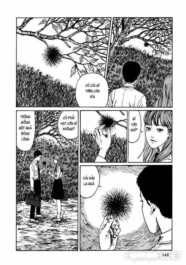 page_6.jpg