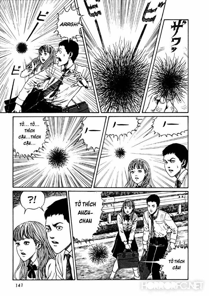 page_7.jpg