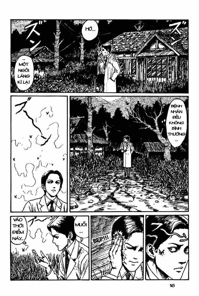 page_17.jpg