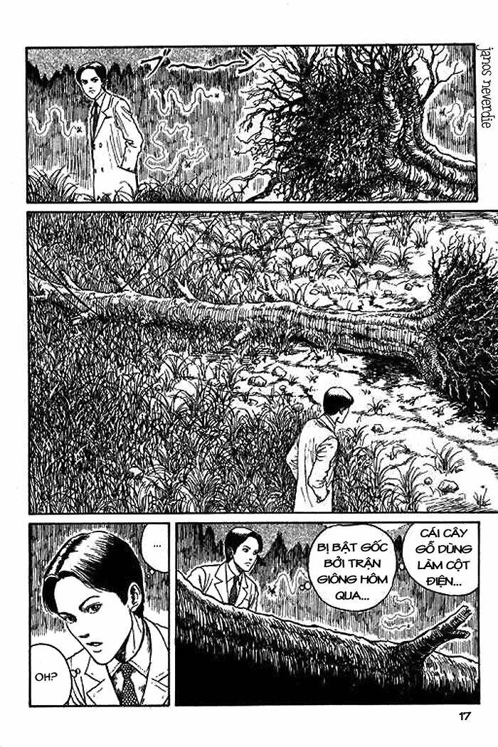 page_18.jpg