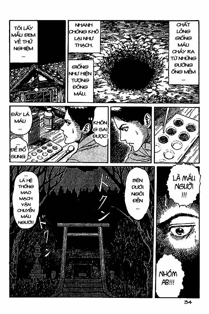 page_35.jpg
