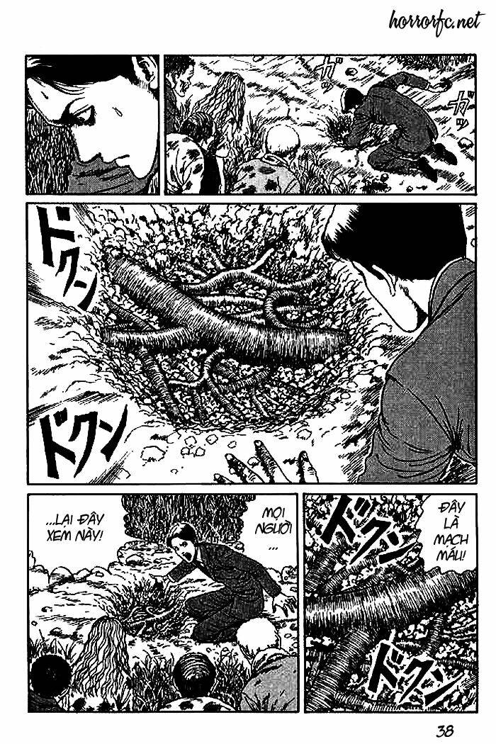 page_39.jpg