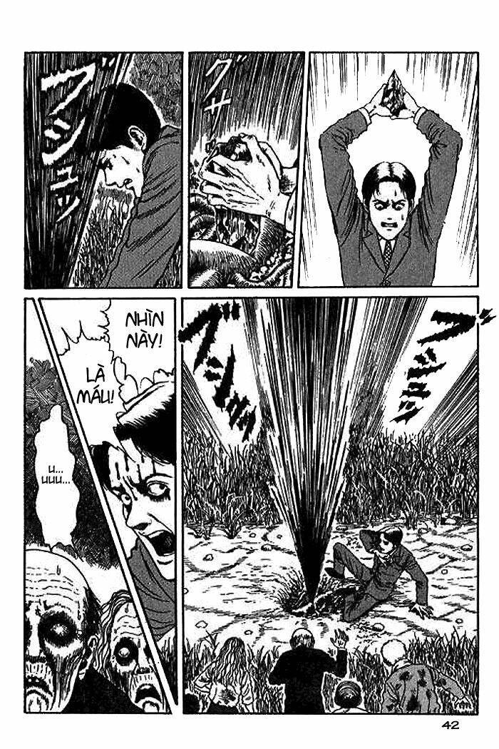 page_43.jpg