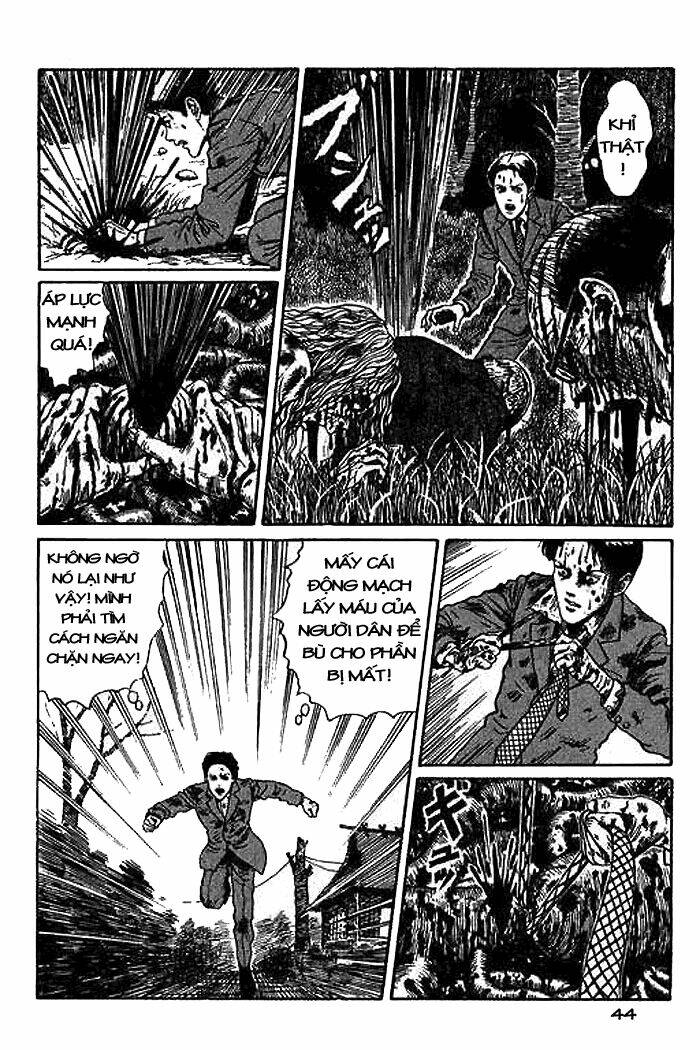 page_45.jpg
