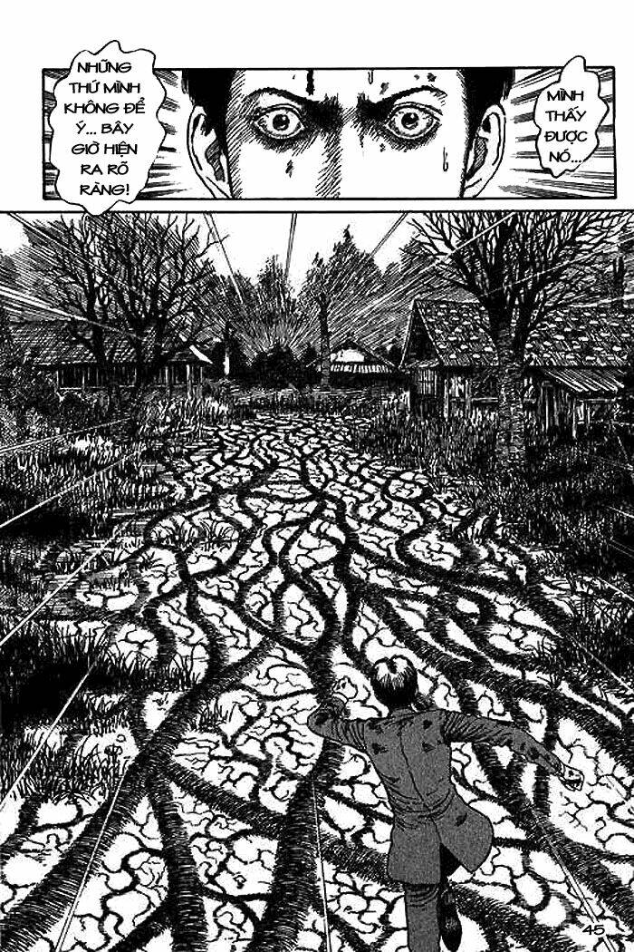 page_46.jpg