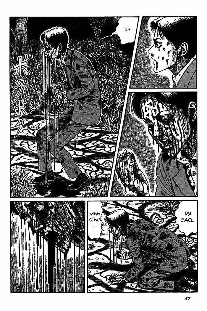 page_48.jpg