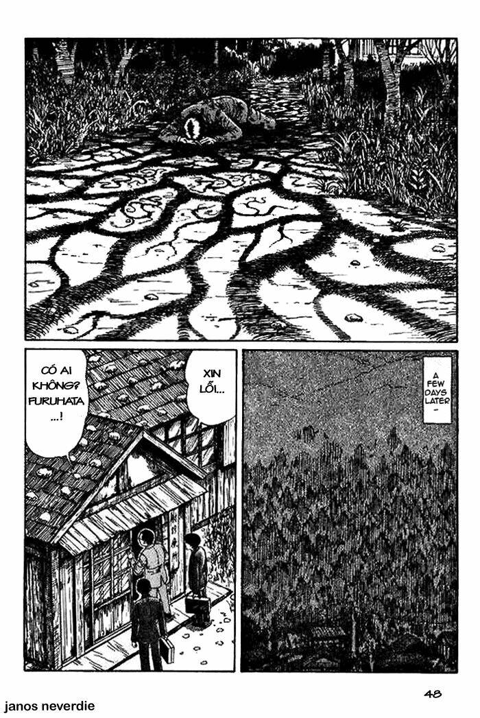 page_49.jpg