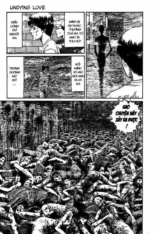 page_29.jpg