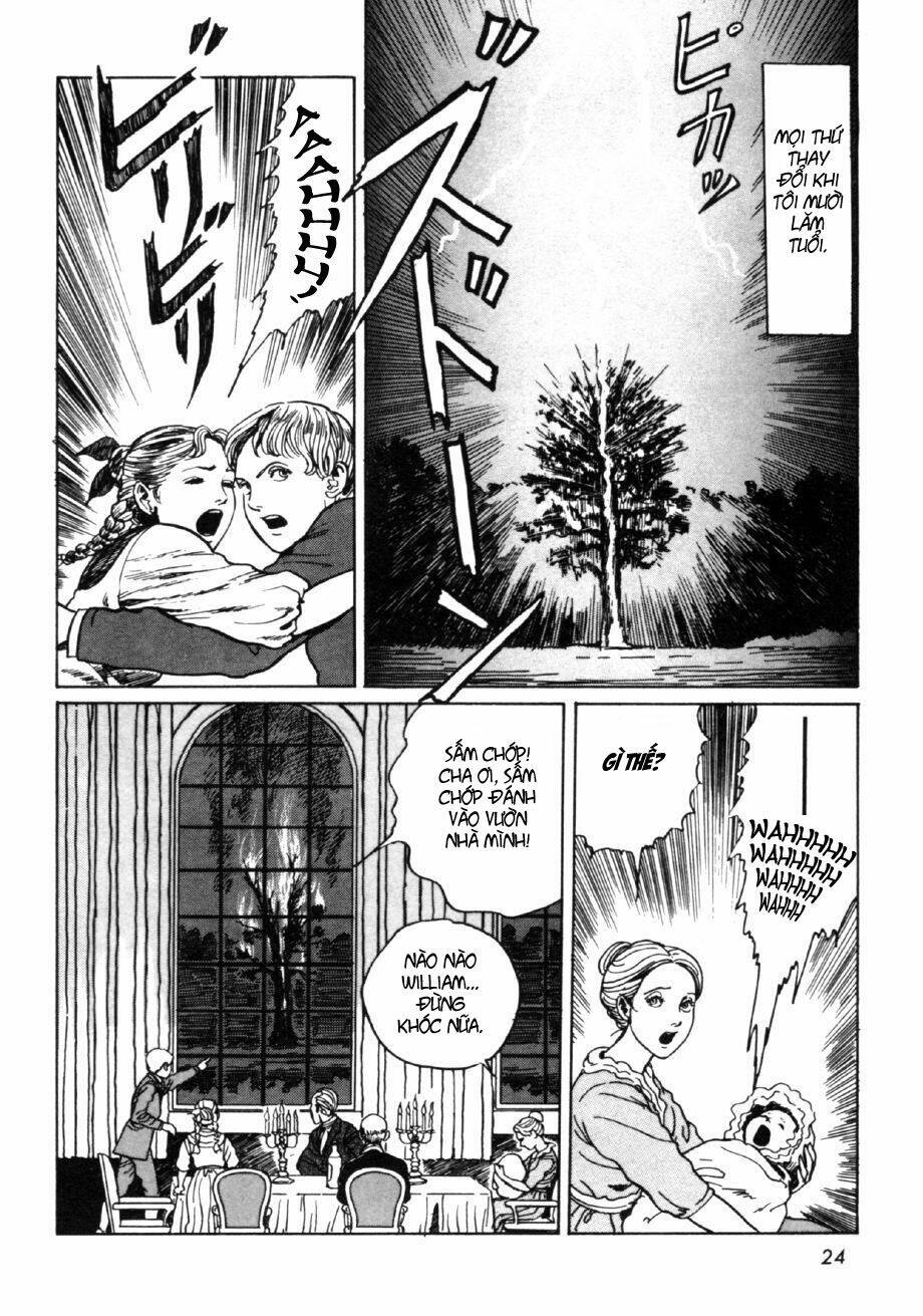 page_23.jpg