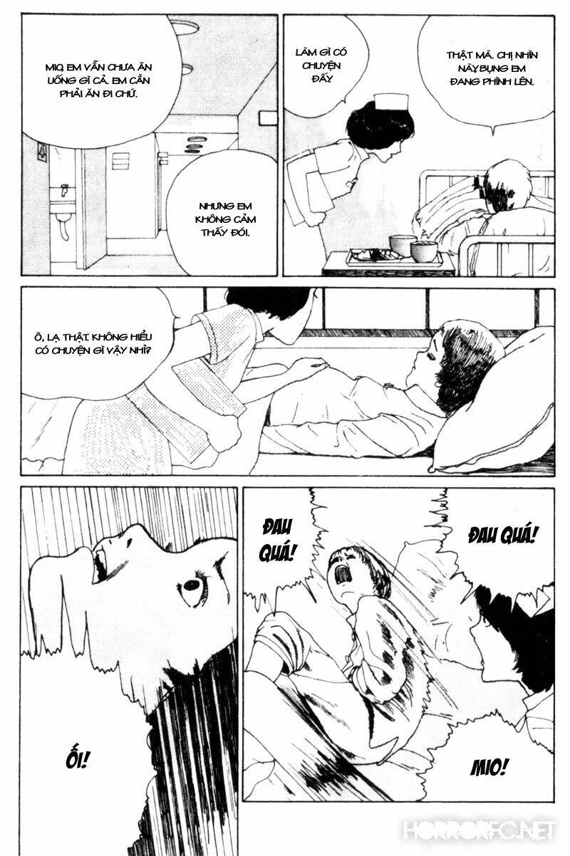page_29.jpg