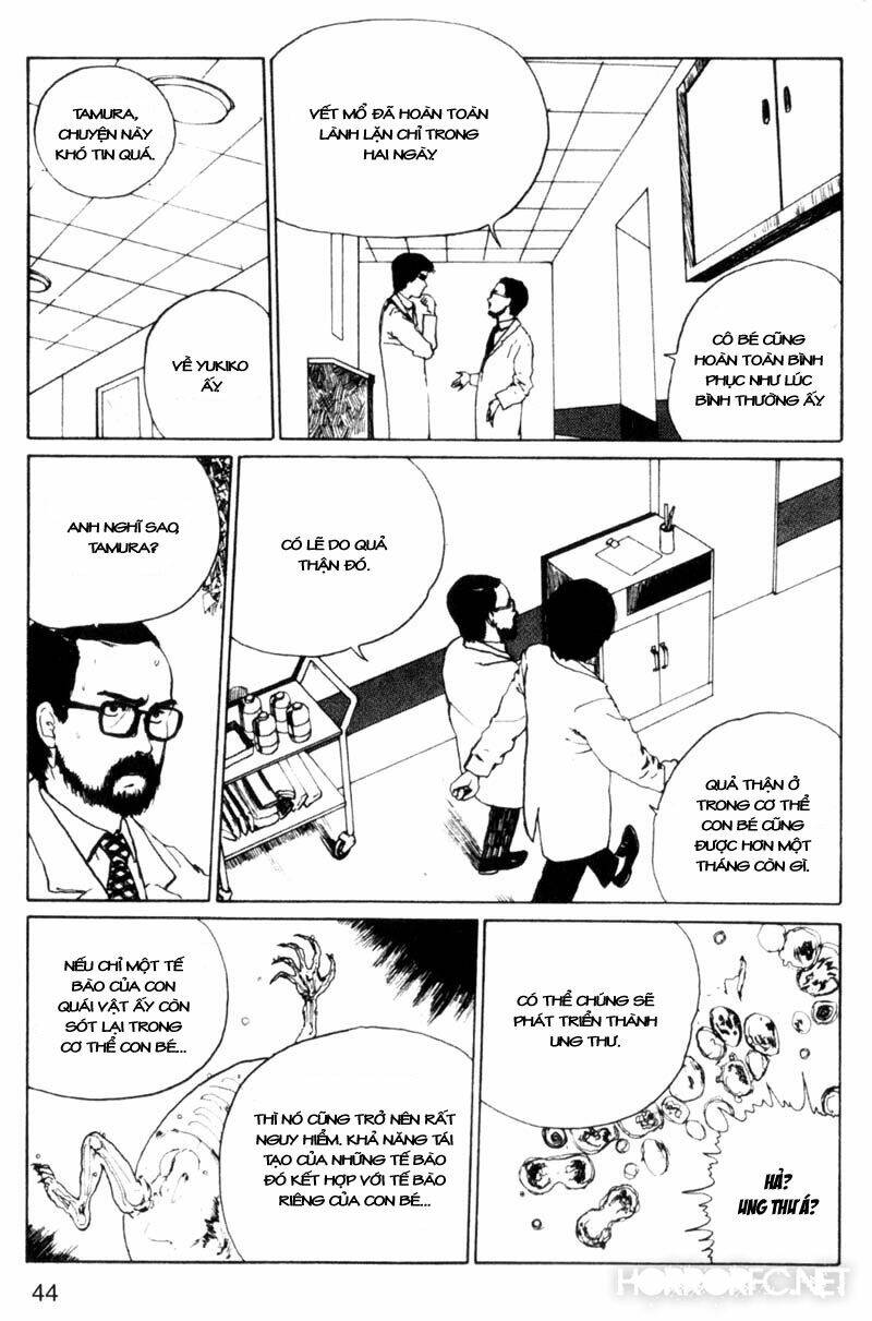 page_13.jpg