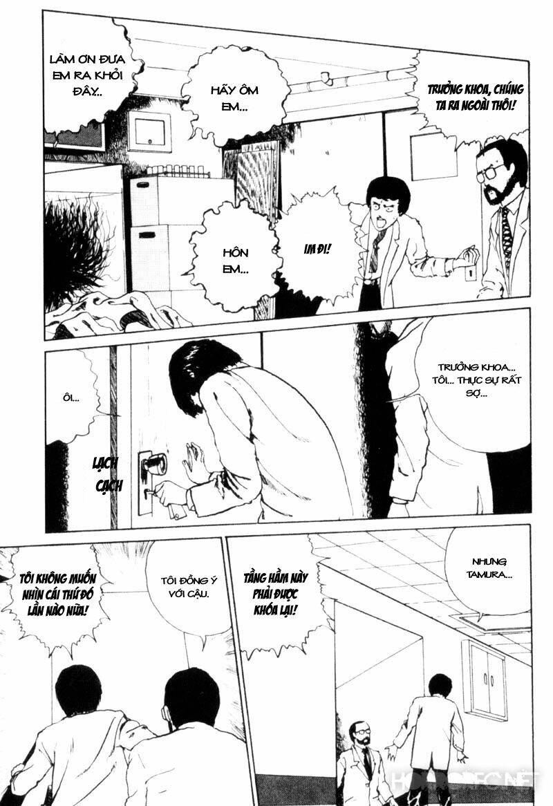 page_19.jpg