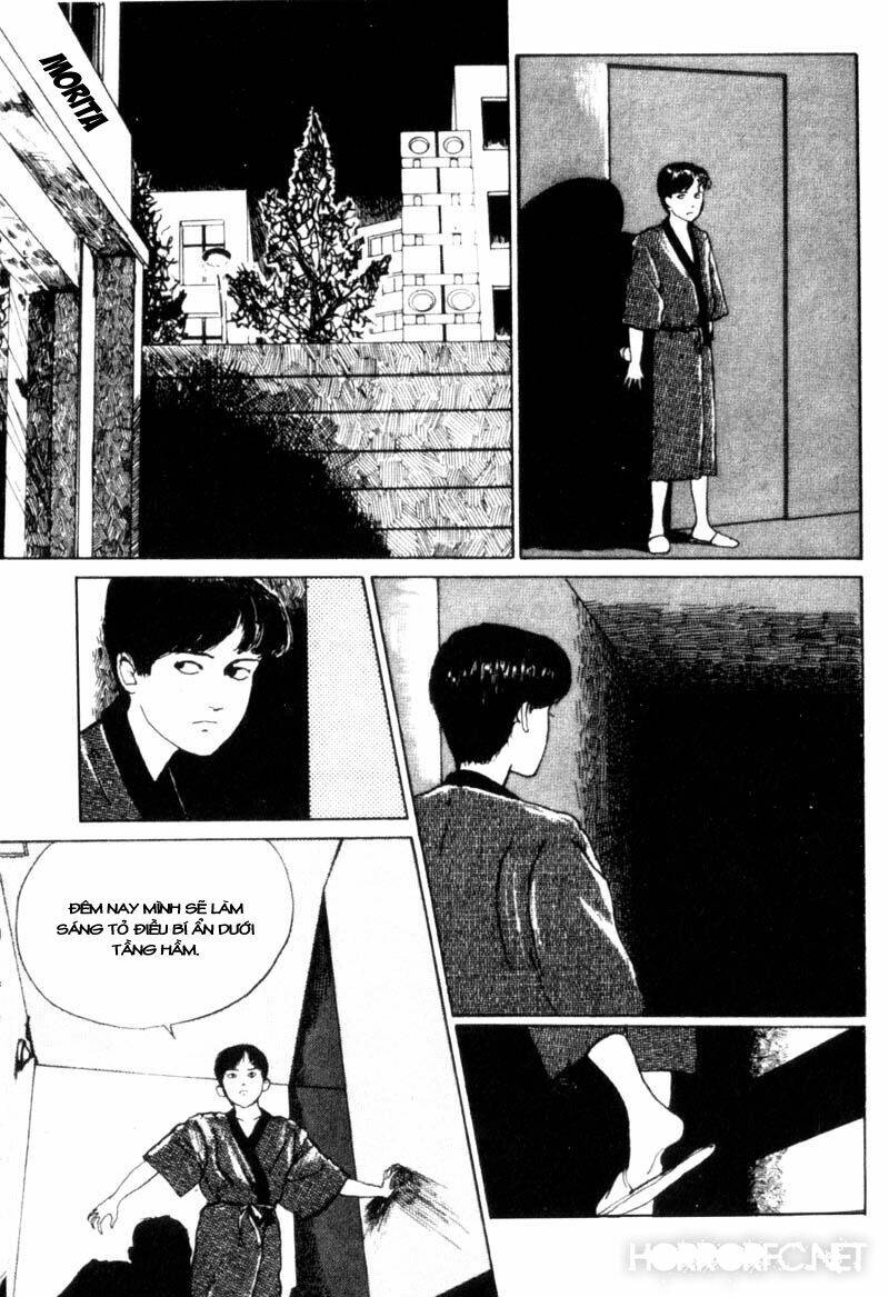 page_21.jpg