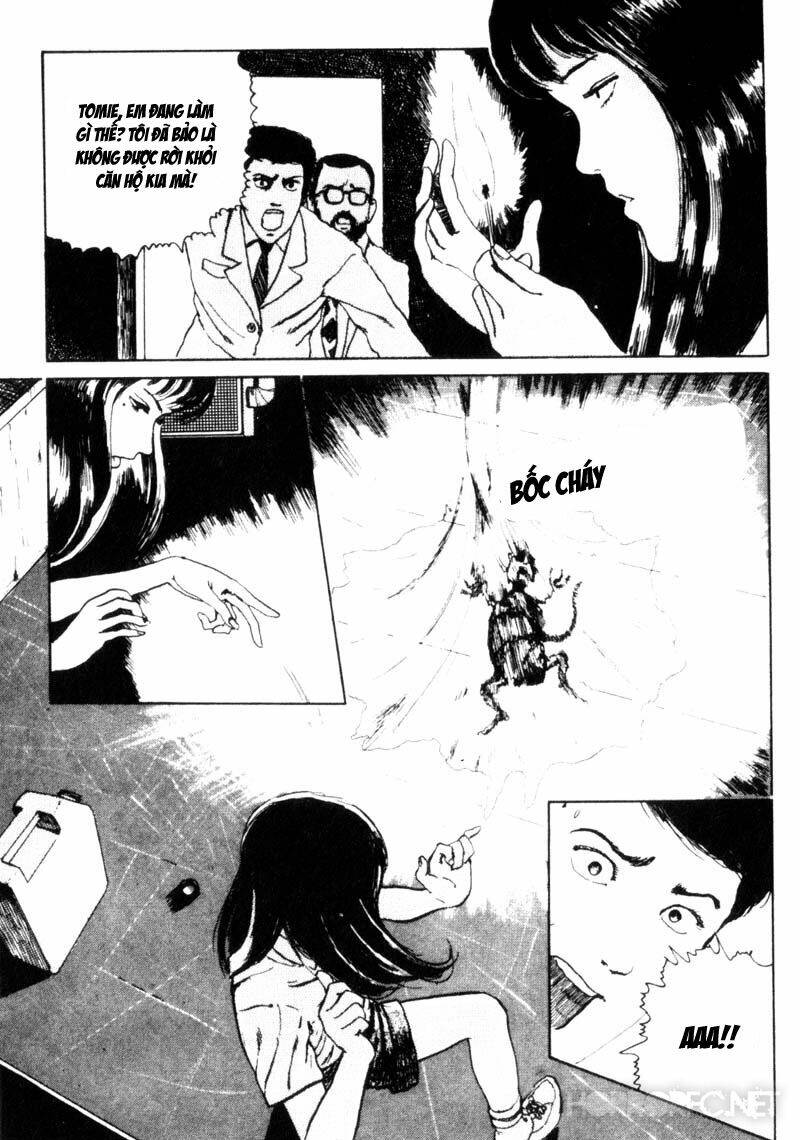page_43.jpg