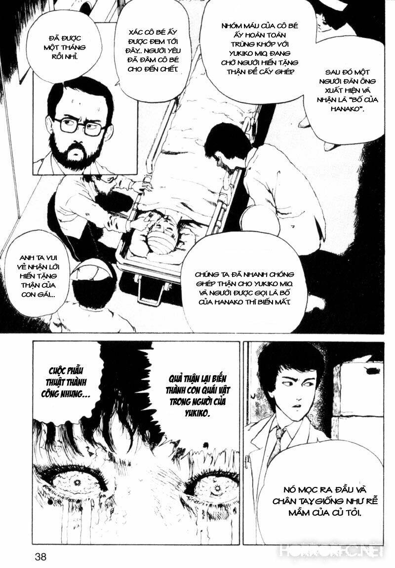 page_7.jpg