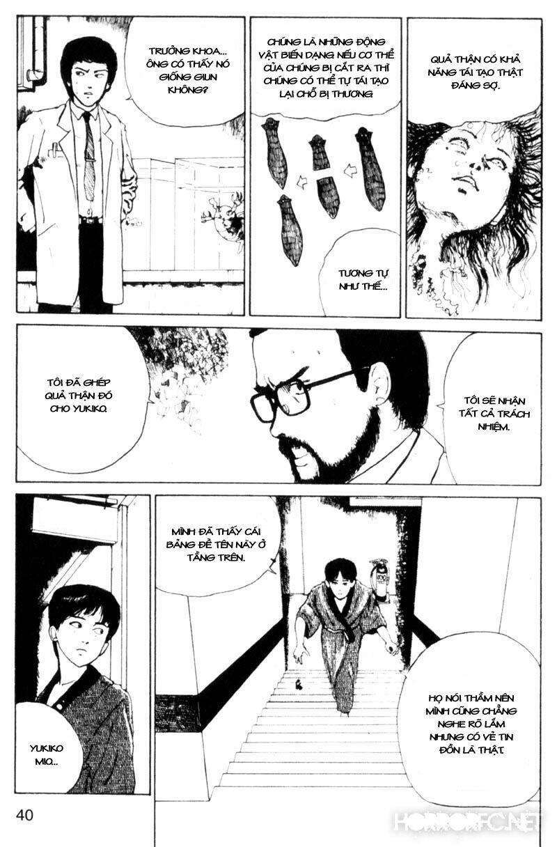 page_9.jpg