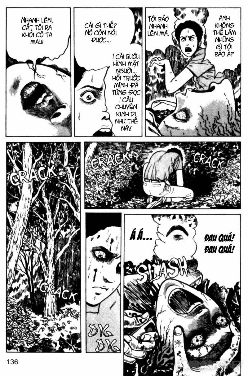page_13.jpg