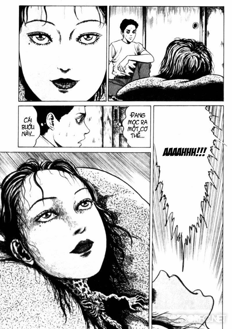 page_21.jpg
