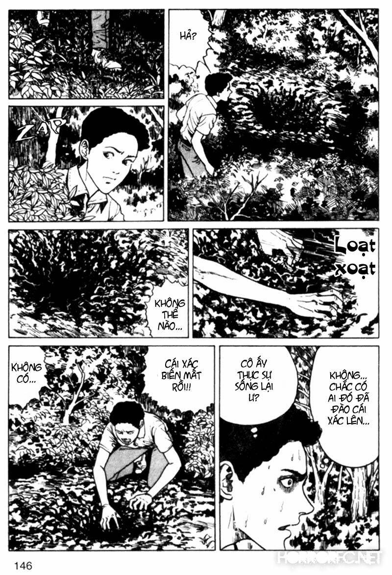 page_23.jpg