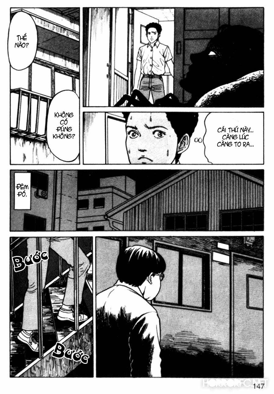 page_24.jpg
