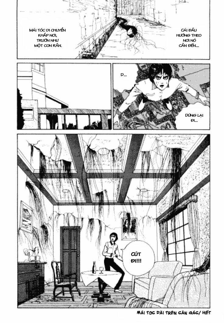 page_35.jpg