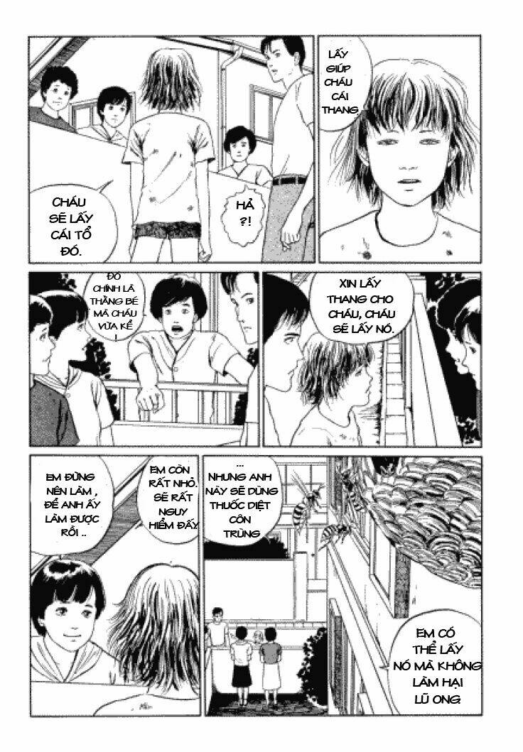 page_11.jpg