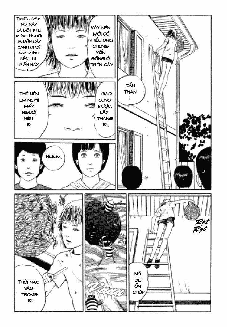 page_12.jpg