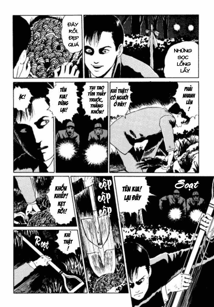page_26.jpg