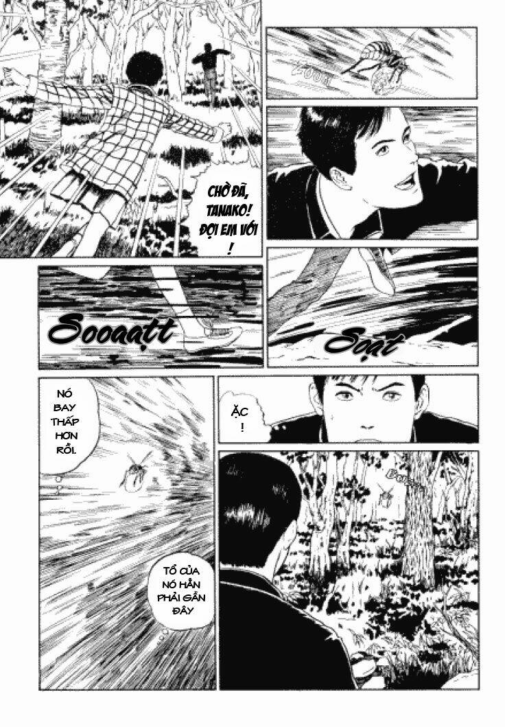 page_5.jpg