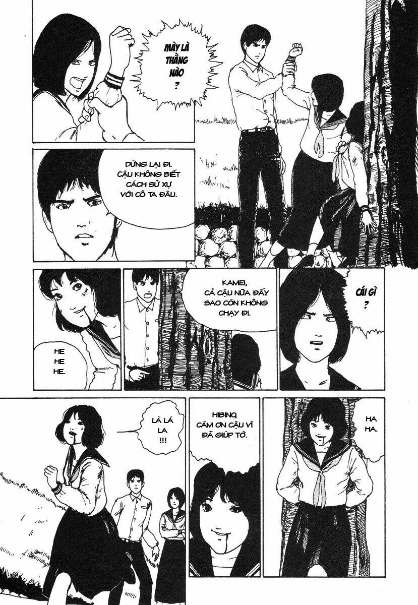 page_11.jpg