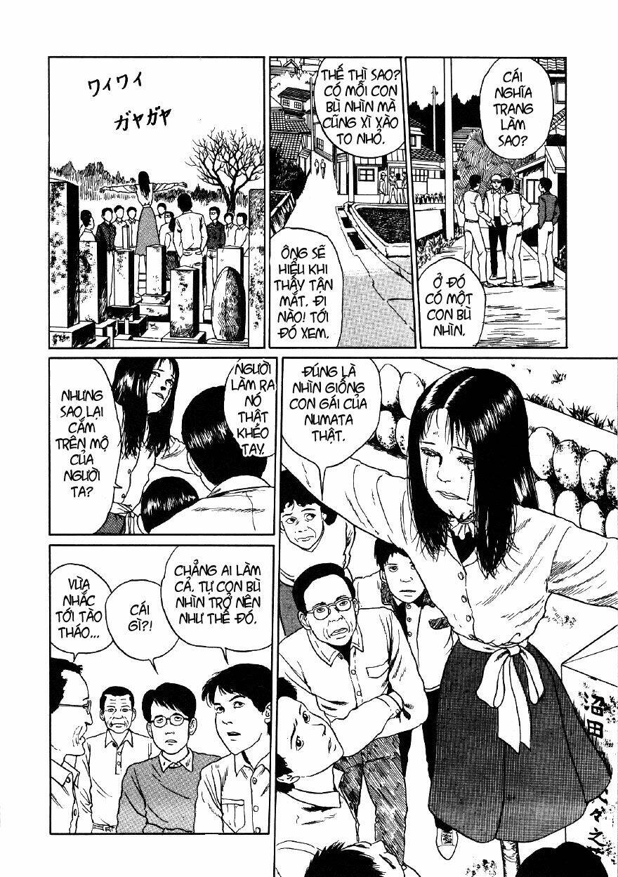 page_16.jpg