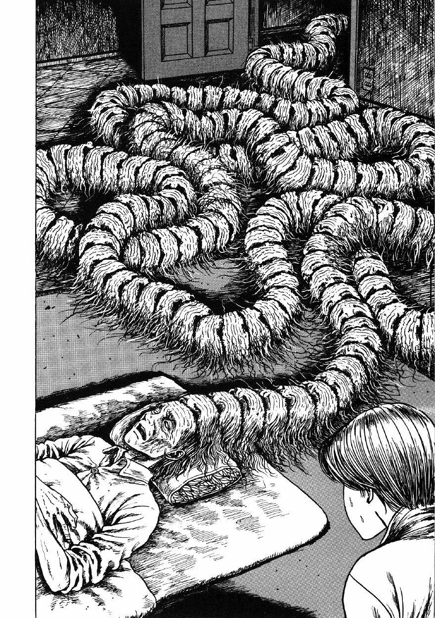 page_21.jpg