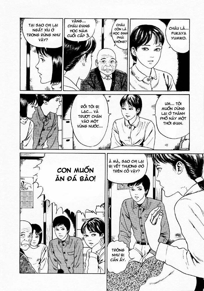 page_12.jpg