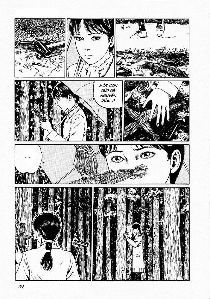 page_5.jpg