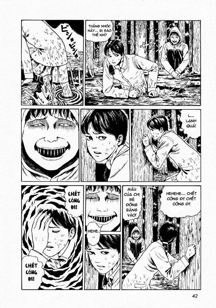page_8.jpg