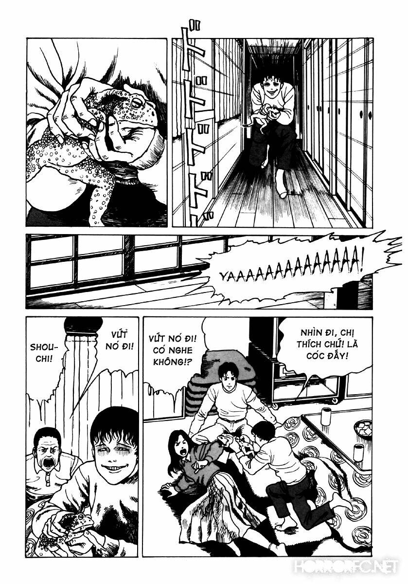 page_19.jpg