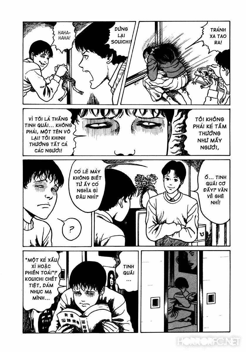 page_20.jpg