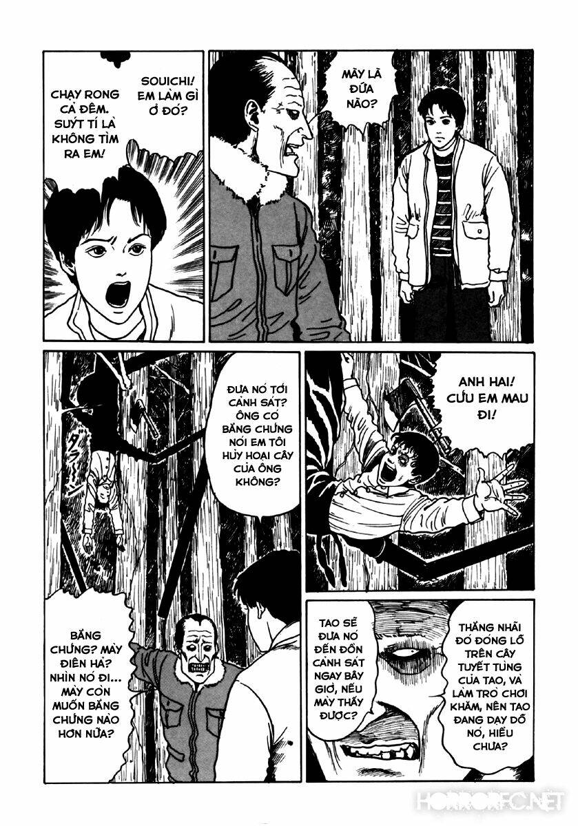 page_62.jpg