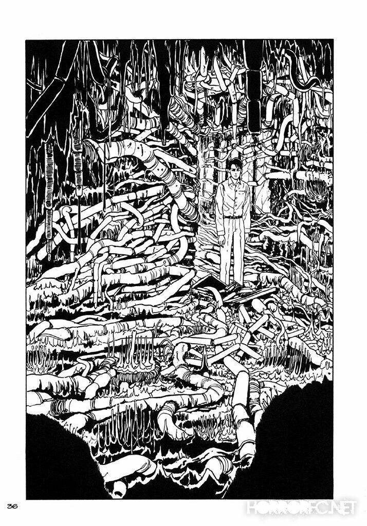 page_37.jpg