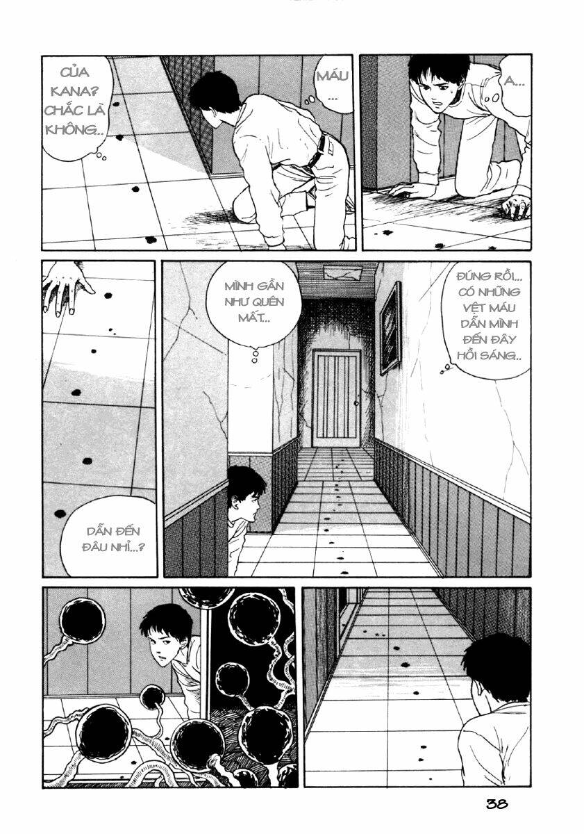 page_39.jpg