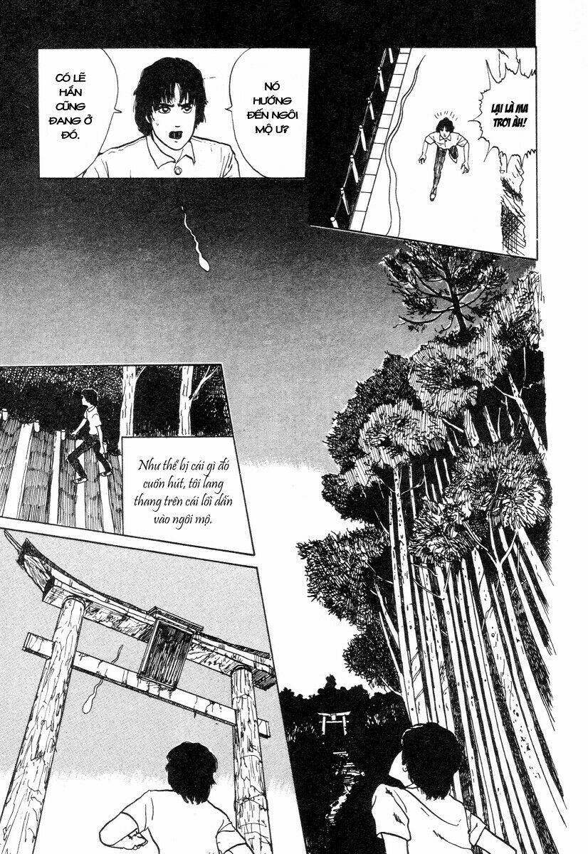 page_22.jpg