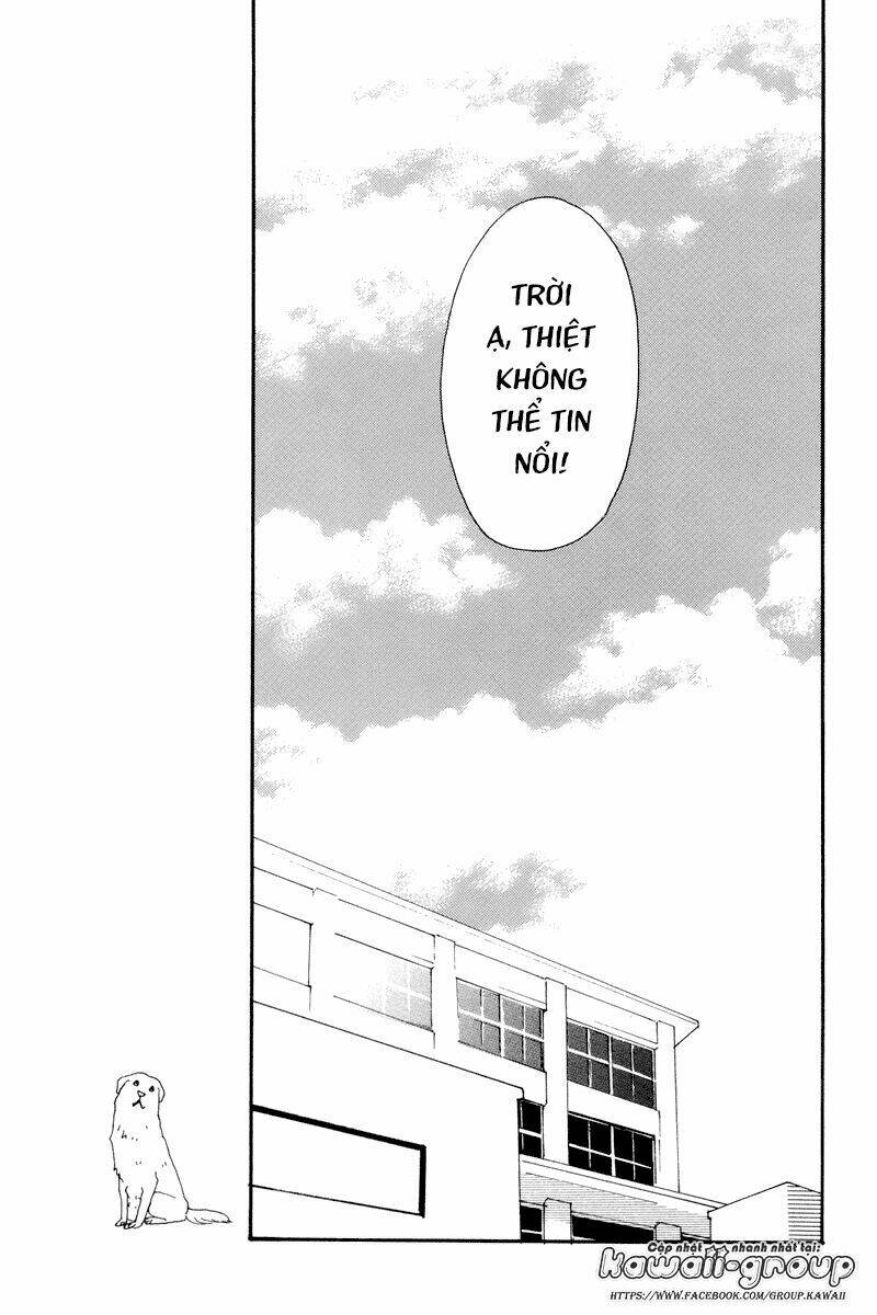 page_30.jpg