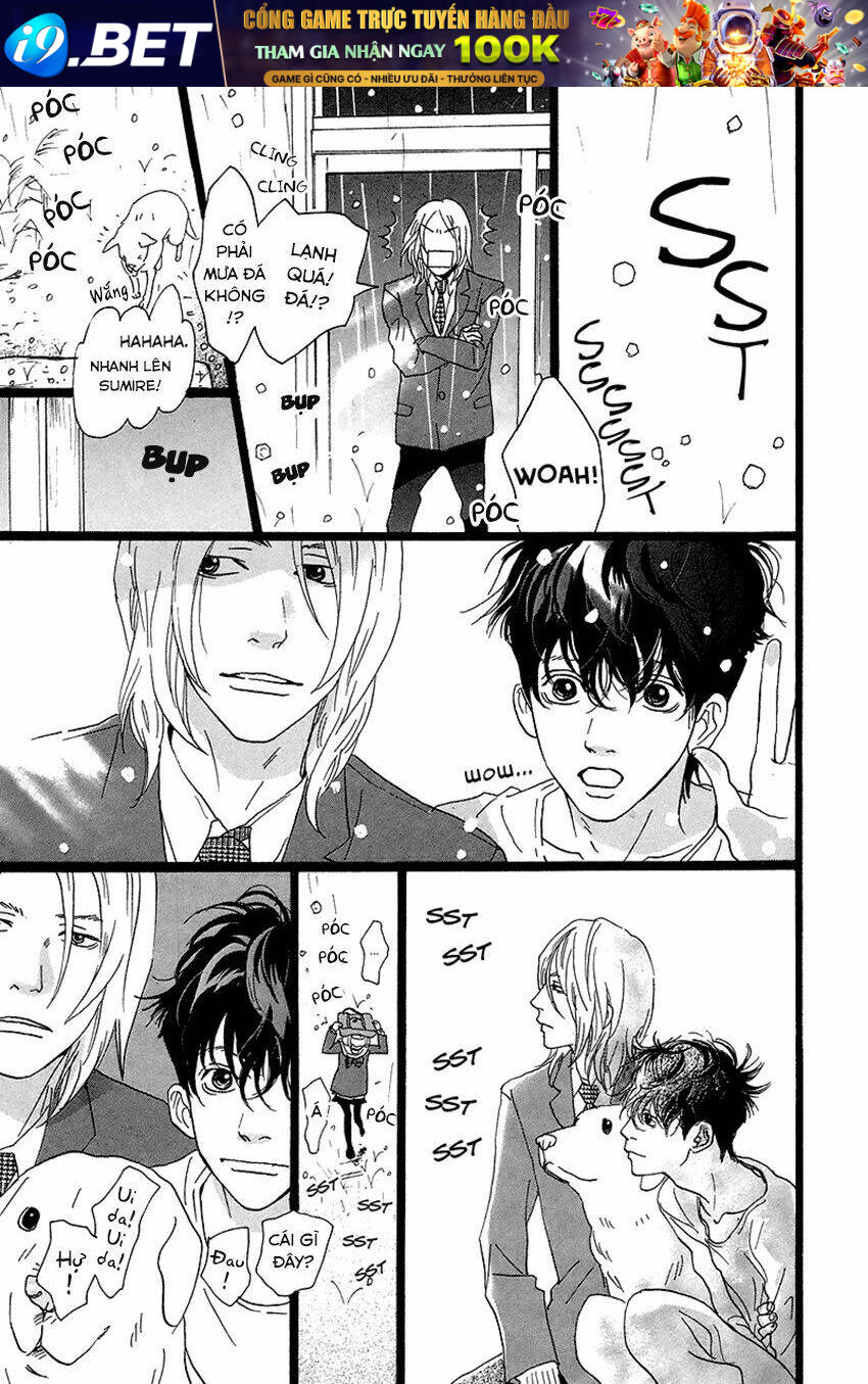page_22.jpg