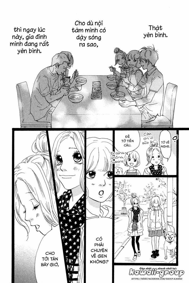 page_19.jpg