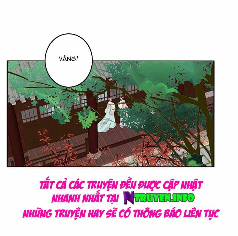 page_16.jpg