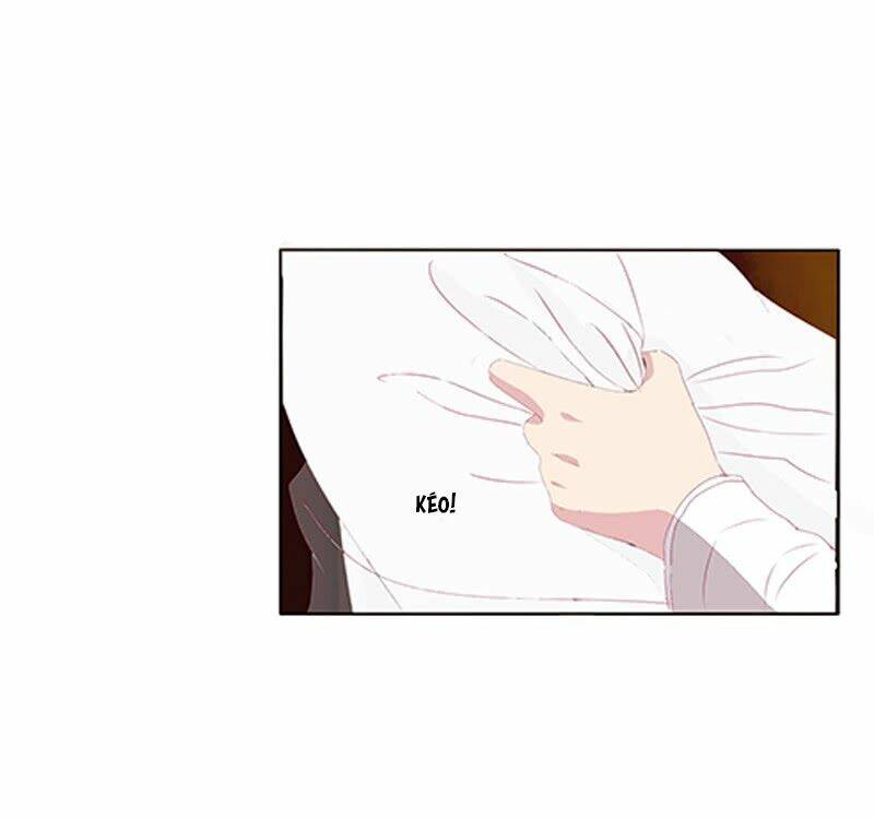 page_19.jpg