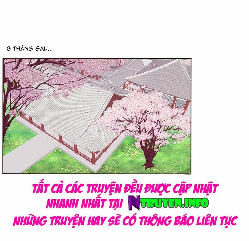 page_16.jpg