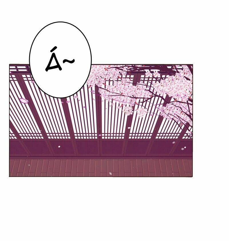 page_25.jpg