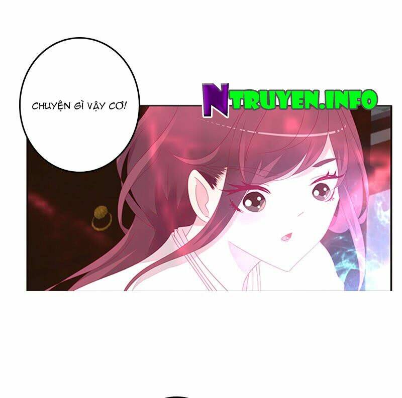 page_20.jpg