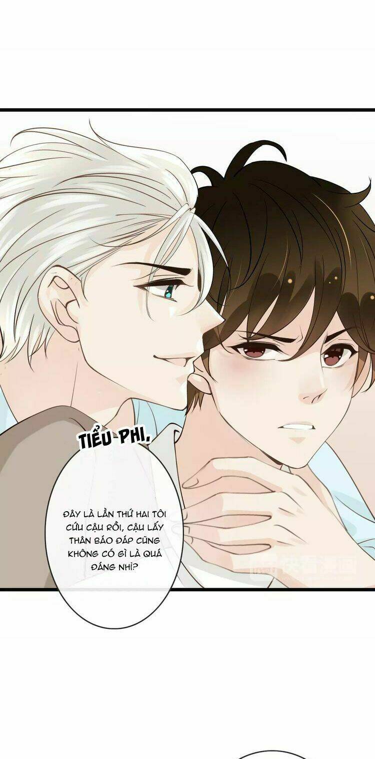 page_17.jpg